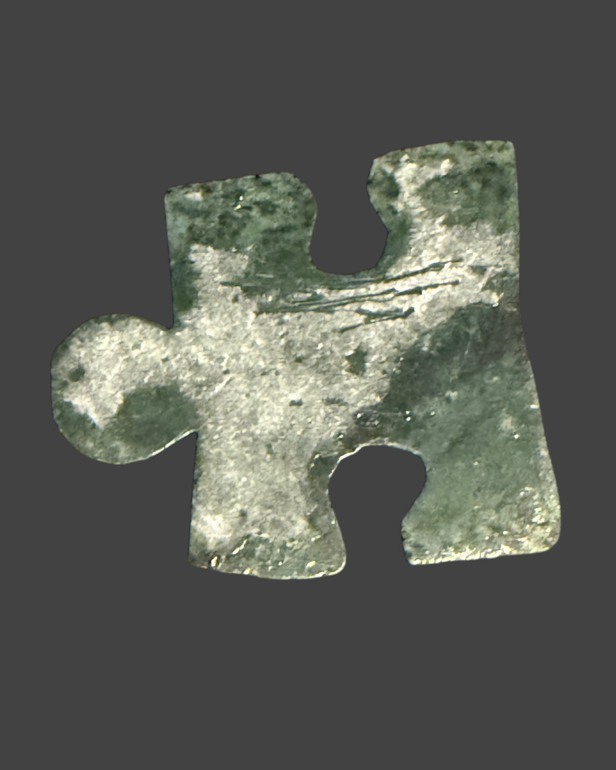 Tree Agate Puzzle Piece