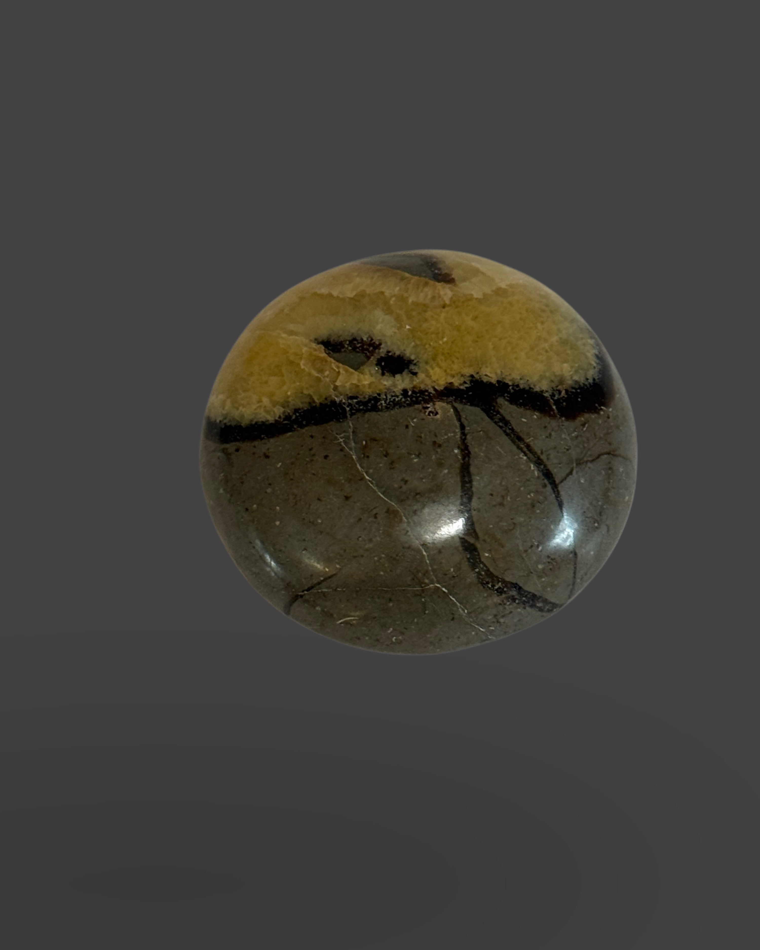 Septarian Palm Stone - 1.5 inches