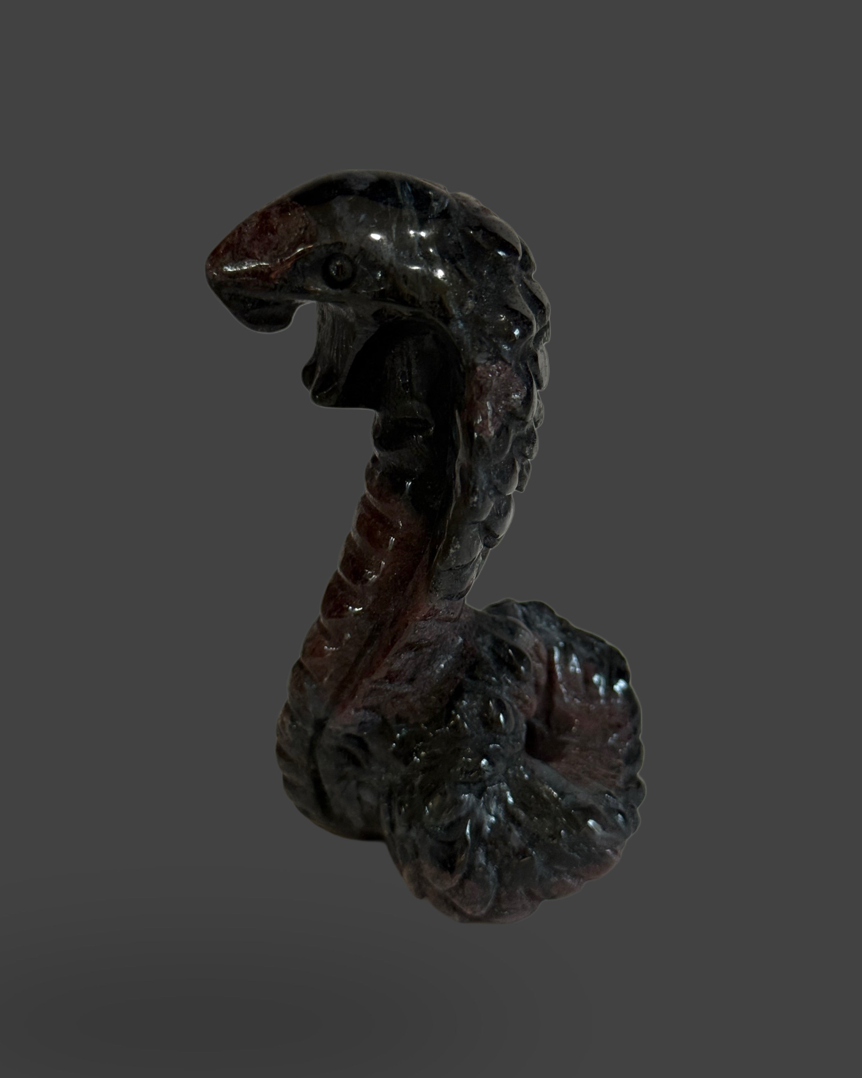 Garnet Astrophyllite/Arfvedsonite Cobra