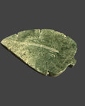 Moss Agate Leaf