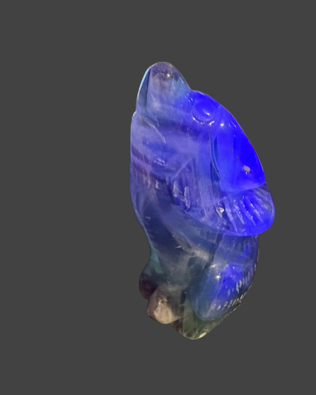 Fluorite Wolf Carving - Clarity & Intuition
