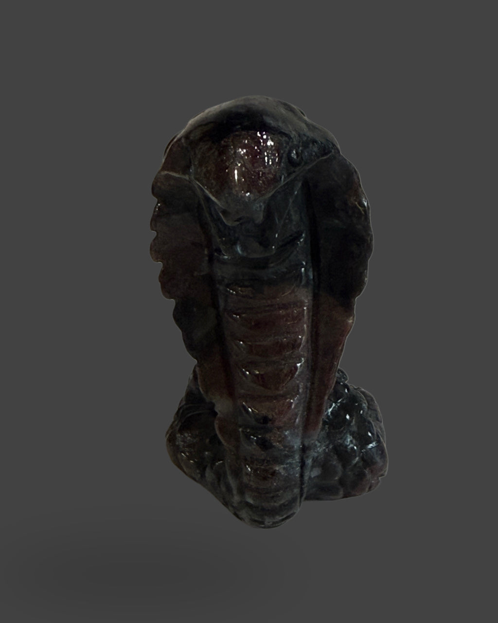 Garnet Astrophyllite/Arfvedsonite Cobra