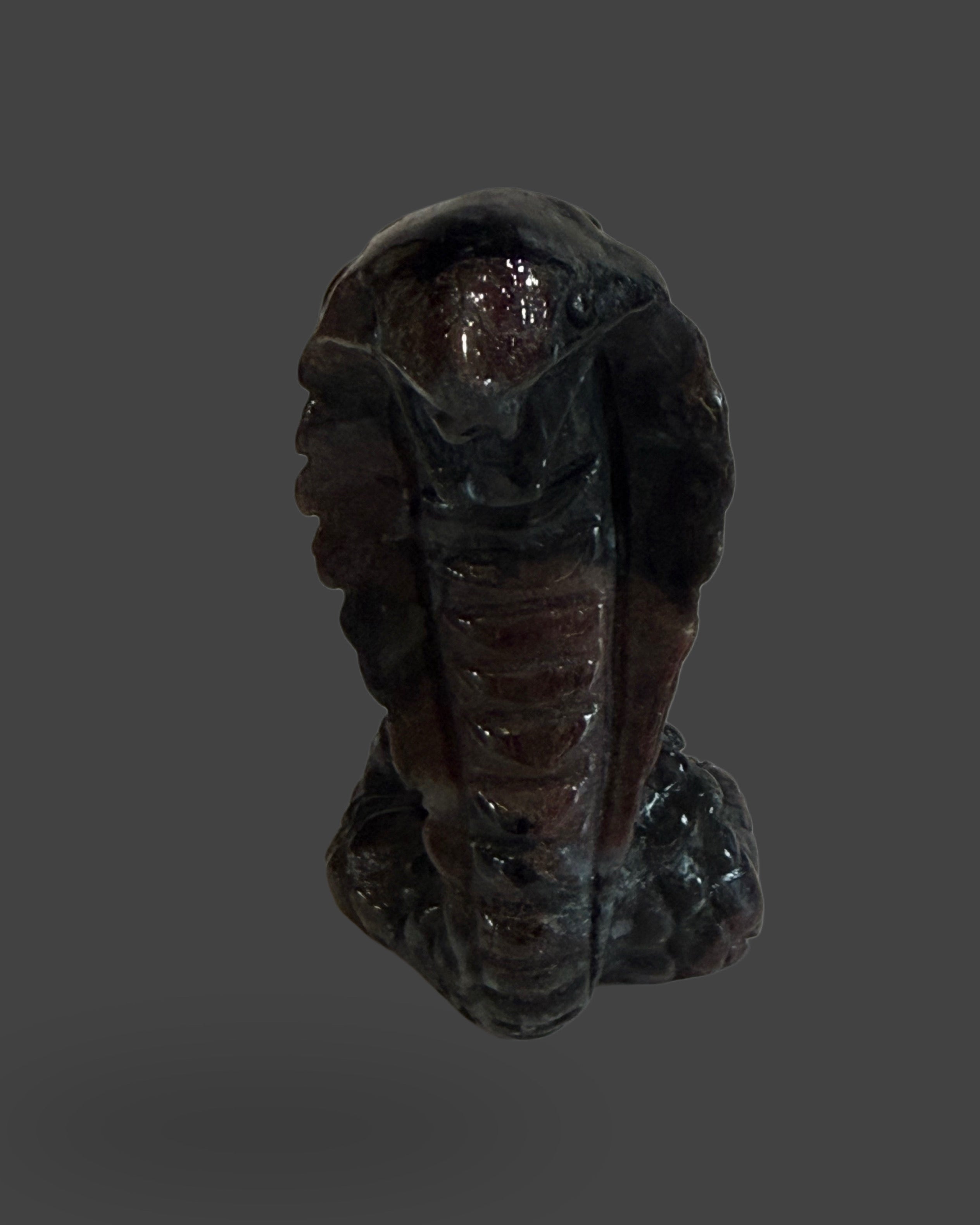 Garnet Astrophyllite/Arfvedsonite Cobra