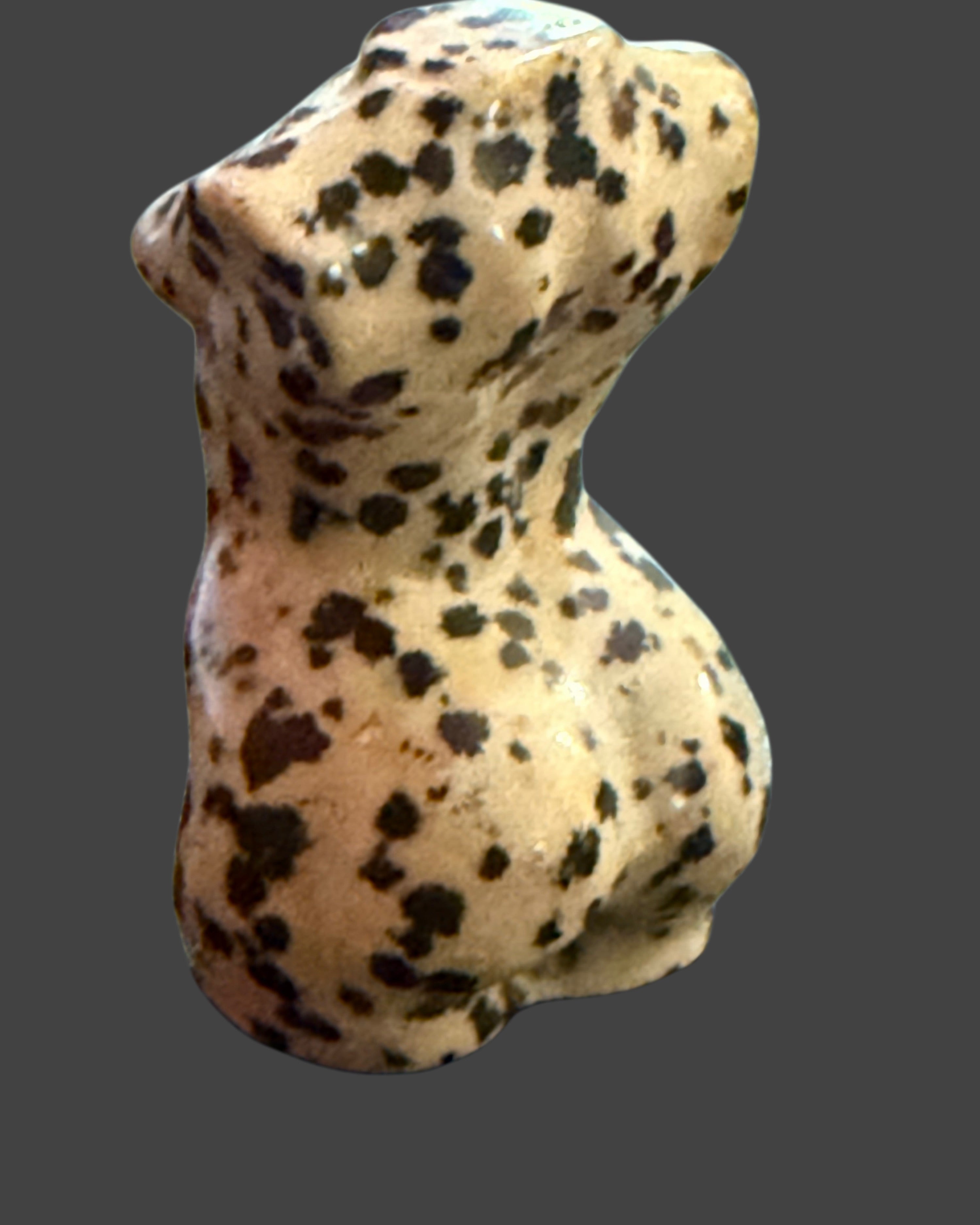Dalmatian Jasper Lady Bod