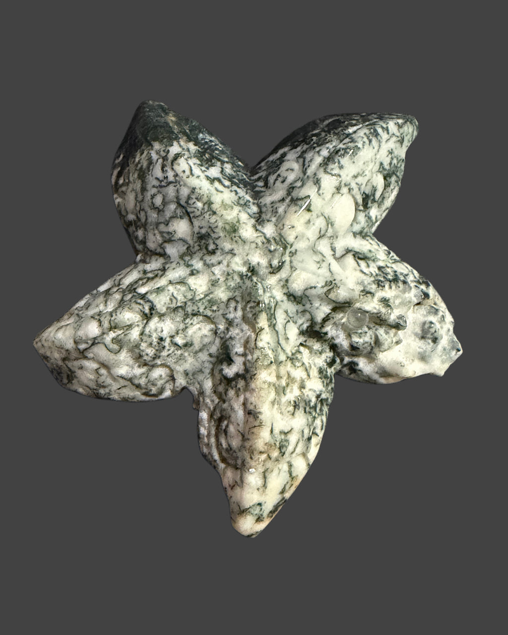 Tree Agate Starfish Carving - 2.5 Inches