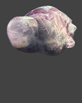 Fluorite Turtle