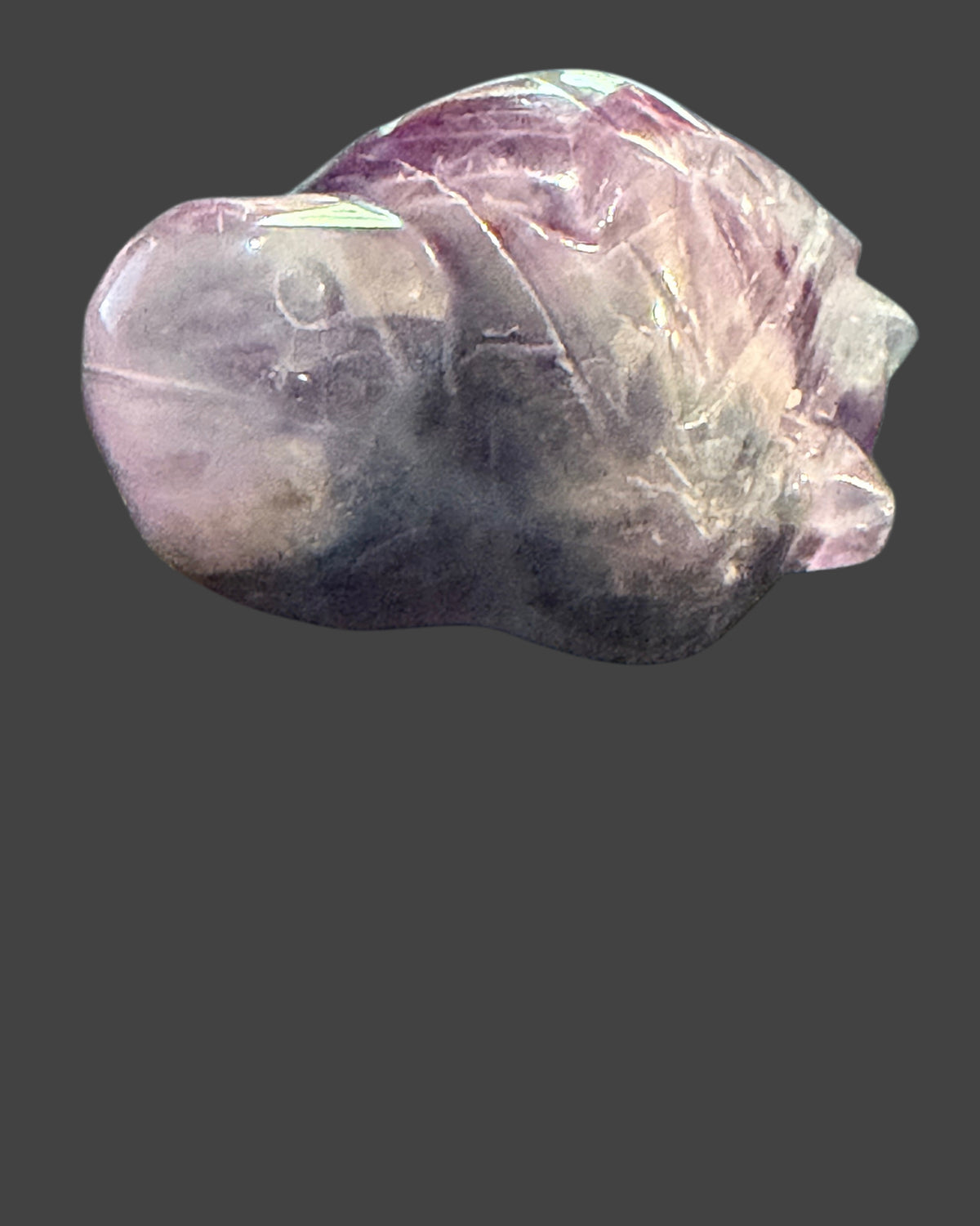 Fluorite Turtle