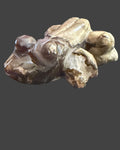 Volcano Agate Frog