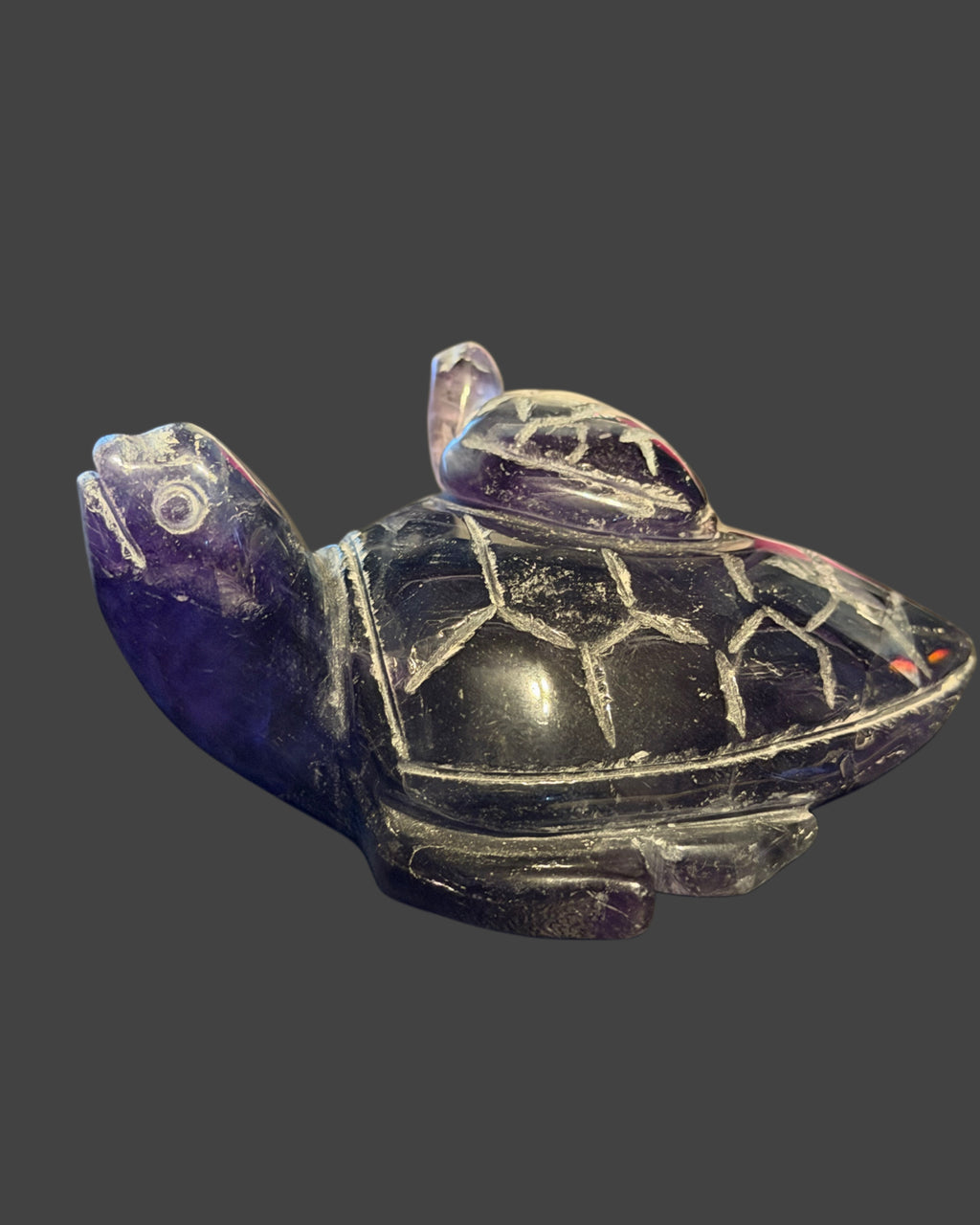 Fluorite Turtle with Baby Turtle