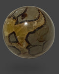 Septarian Sphere - 55 mm