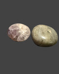 Palm Stone Collection - Moonlit Harmony