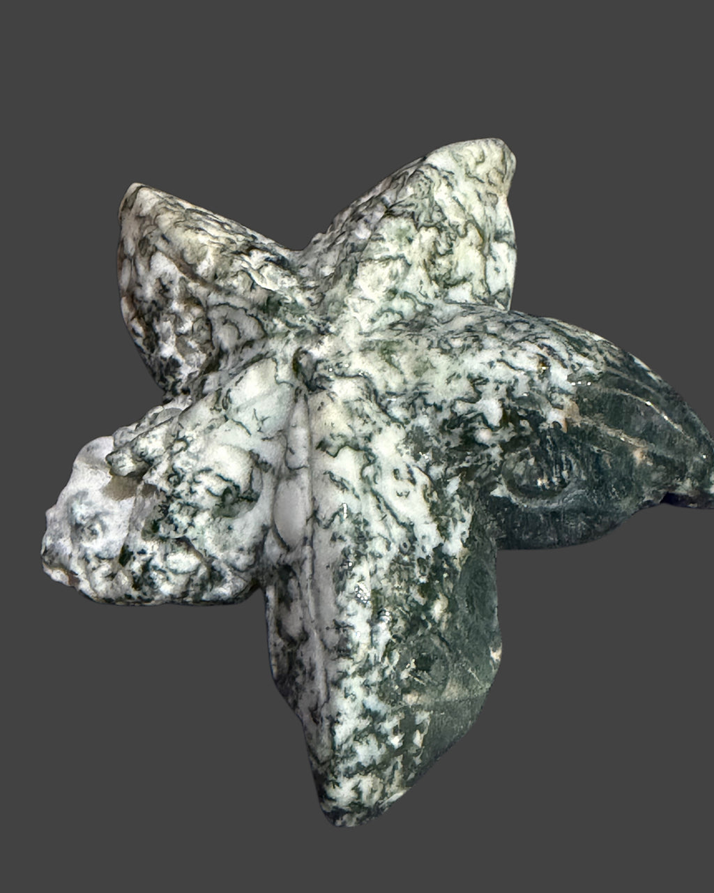 Tree Agate Starfish Carving - 2.5 Inches