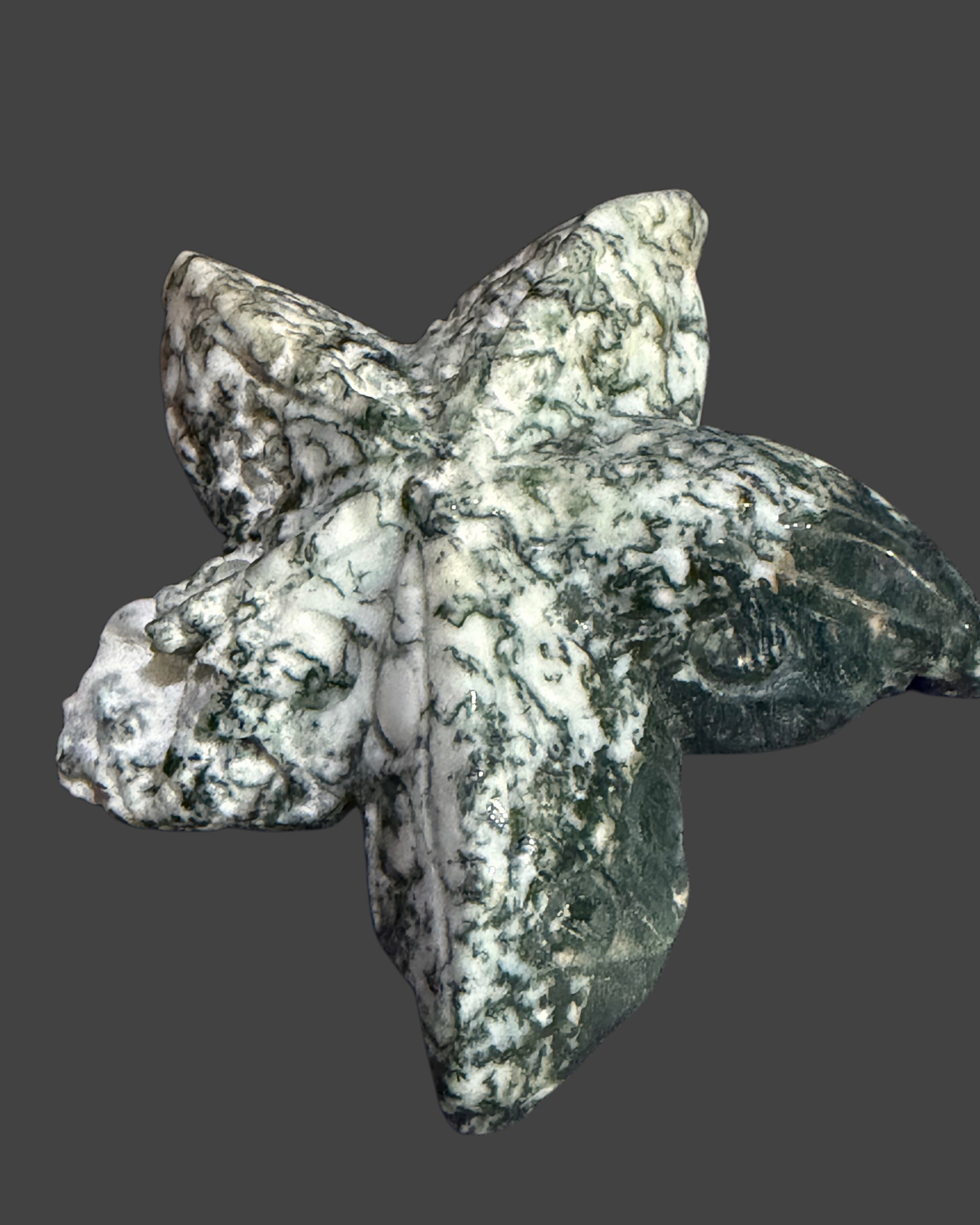 Tree Agate Starfish Carving - 2.5 Inches