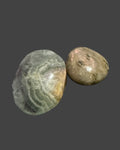 Palm Stone Collection - Veil Walker