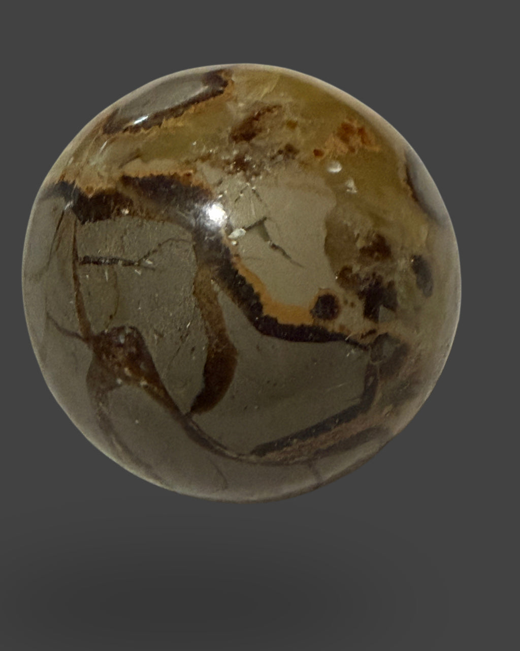 Septarian Sphere - 55 mm