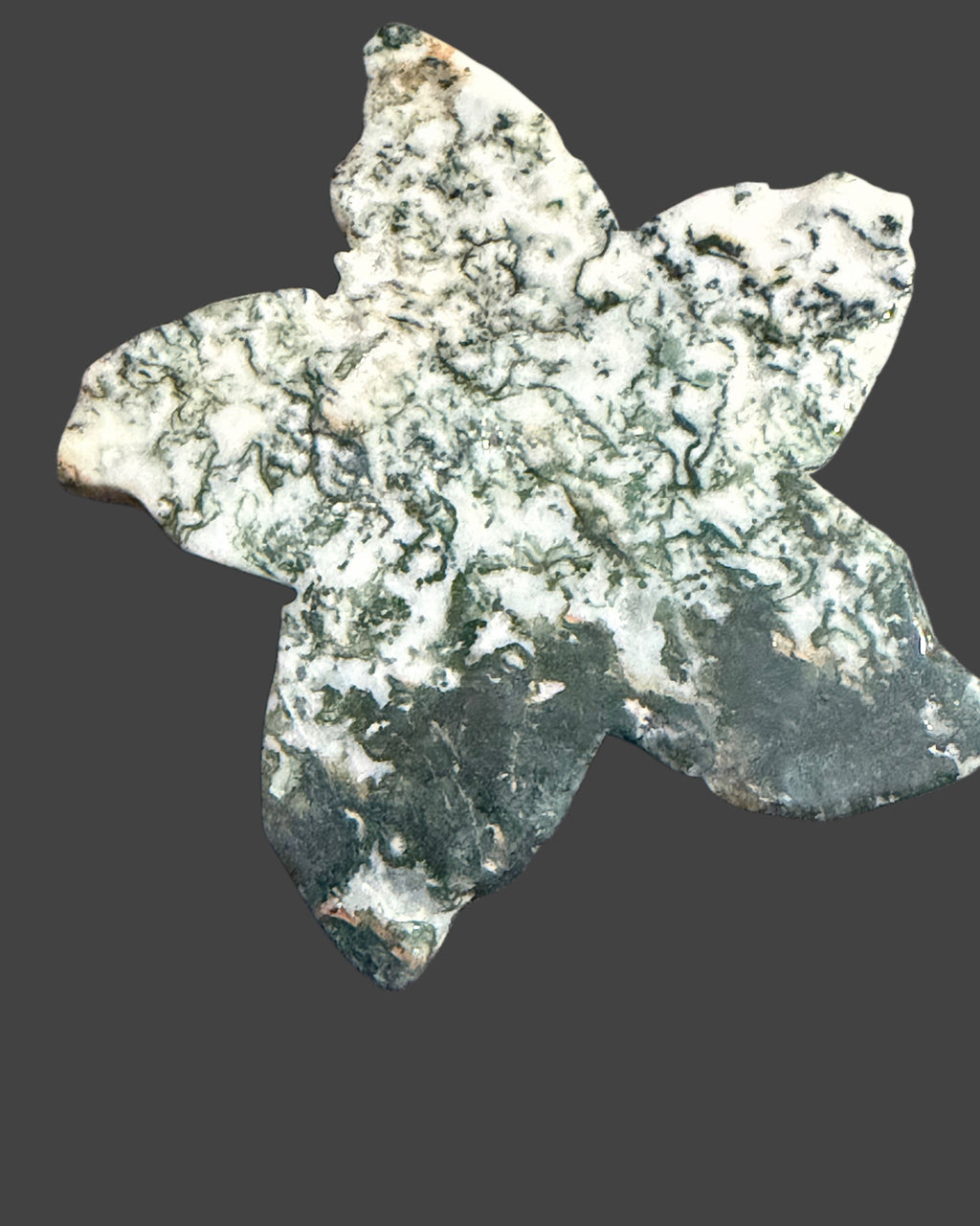 Tree Agate Starfish Carving - 2.5 Inches