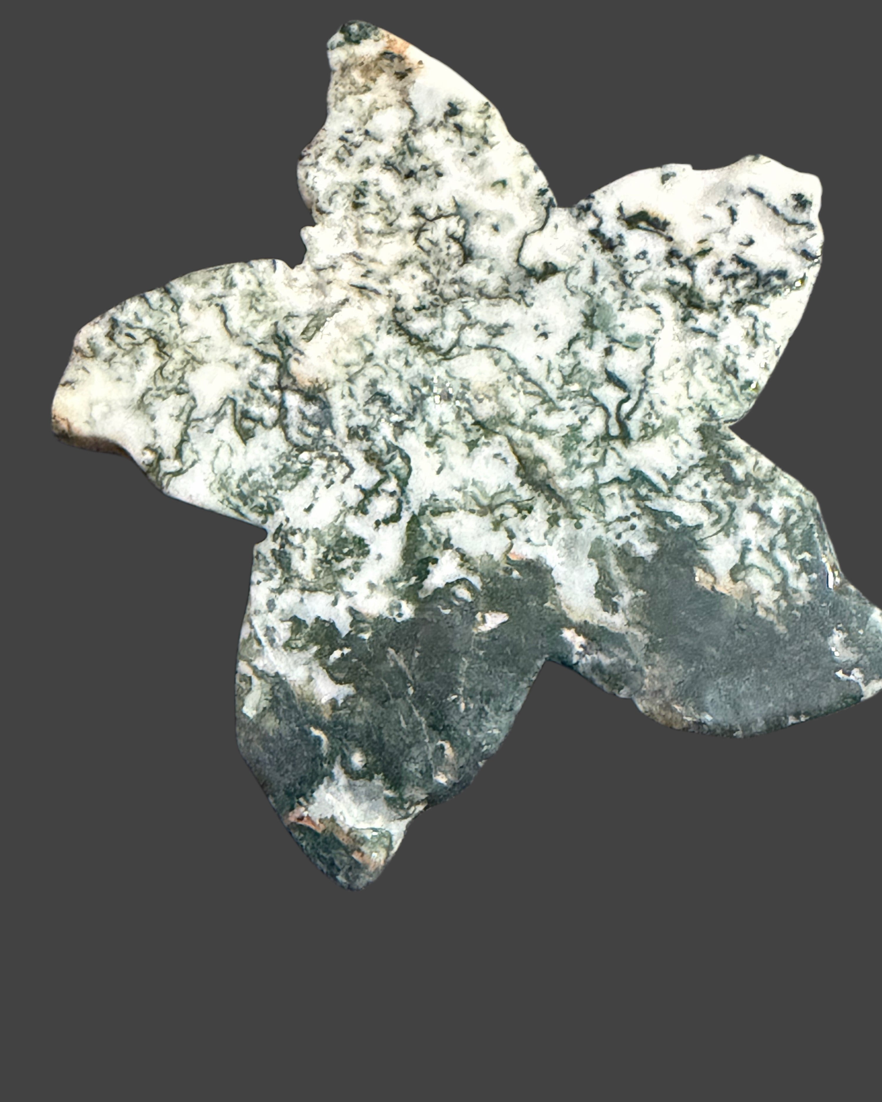 Tree Agate Starfish Carving - 2.5 Inches