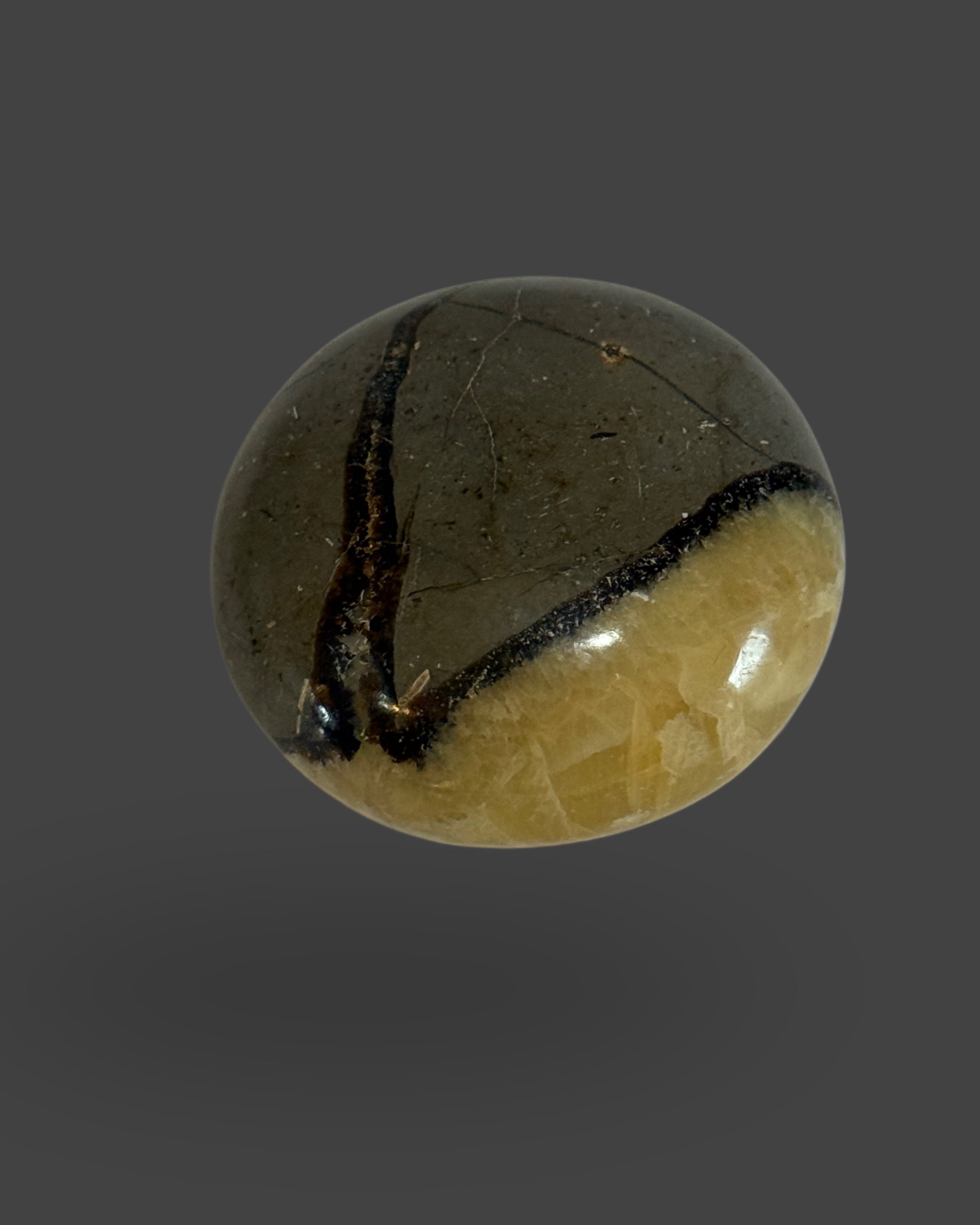 Septarian Palm Stone - 1.5 inches