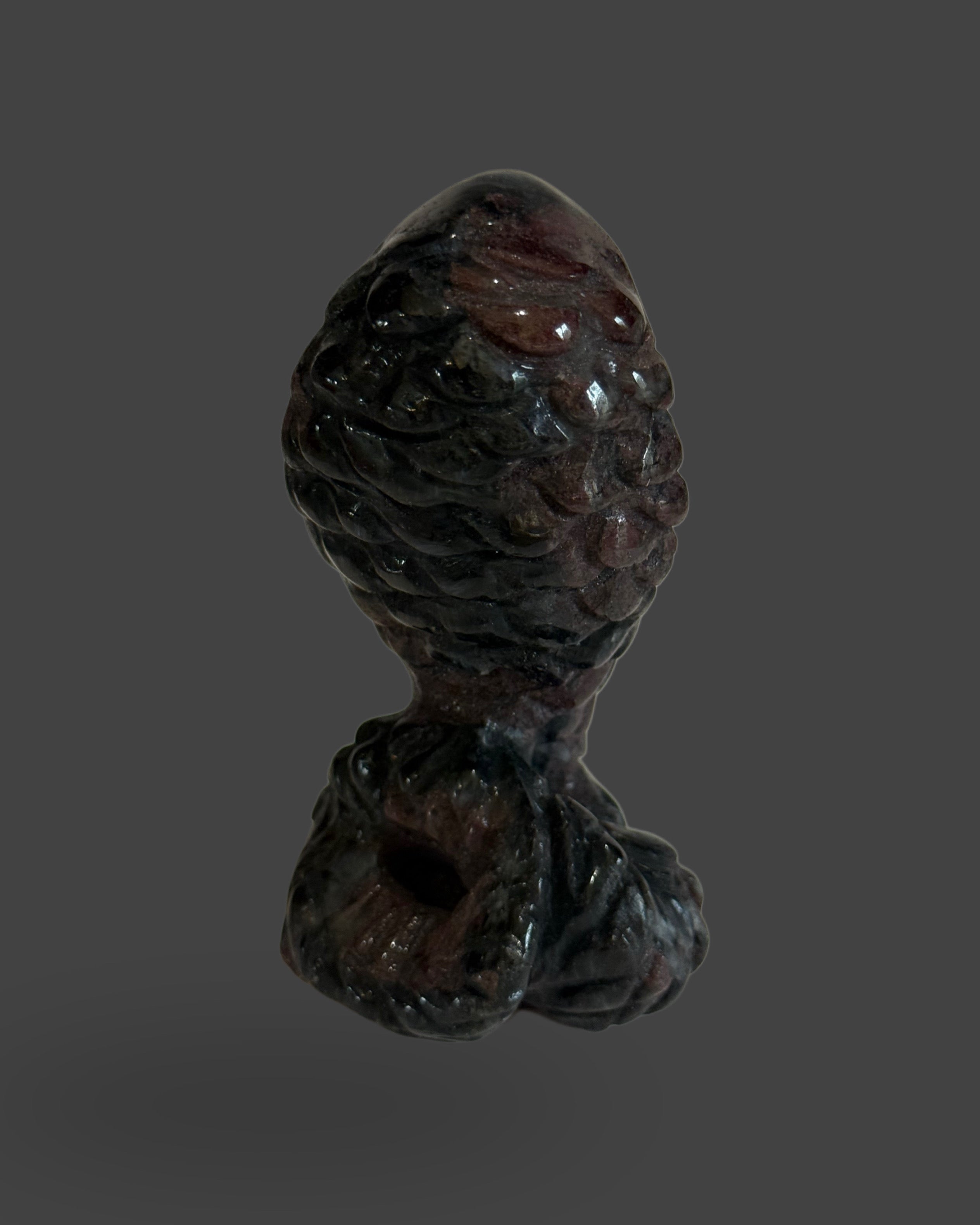 Garnet Astrophyllite/Arfvedsonite Cobra
