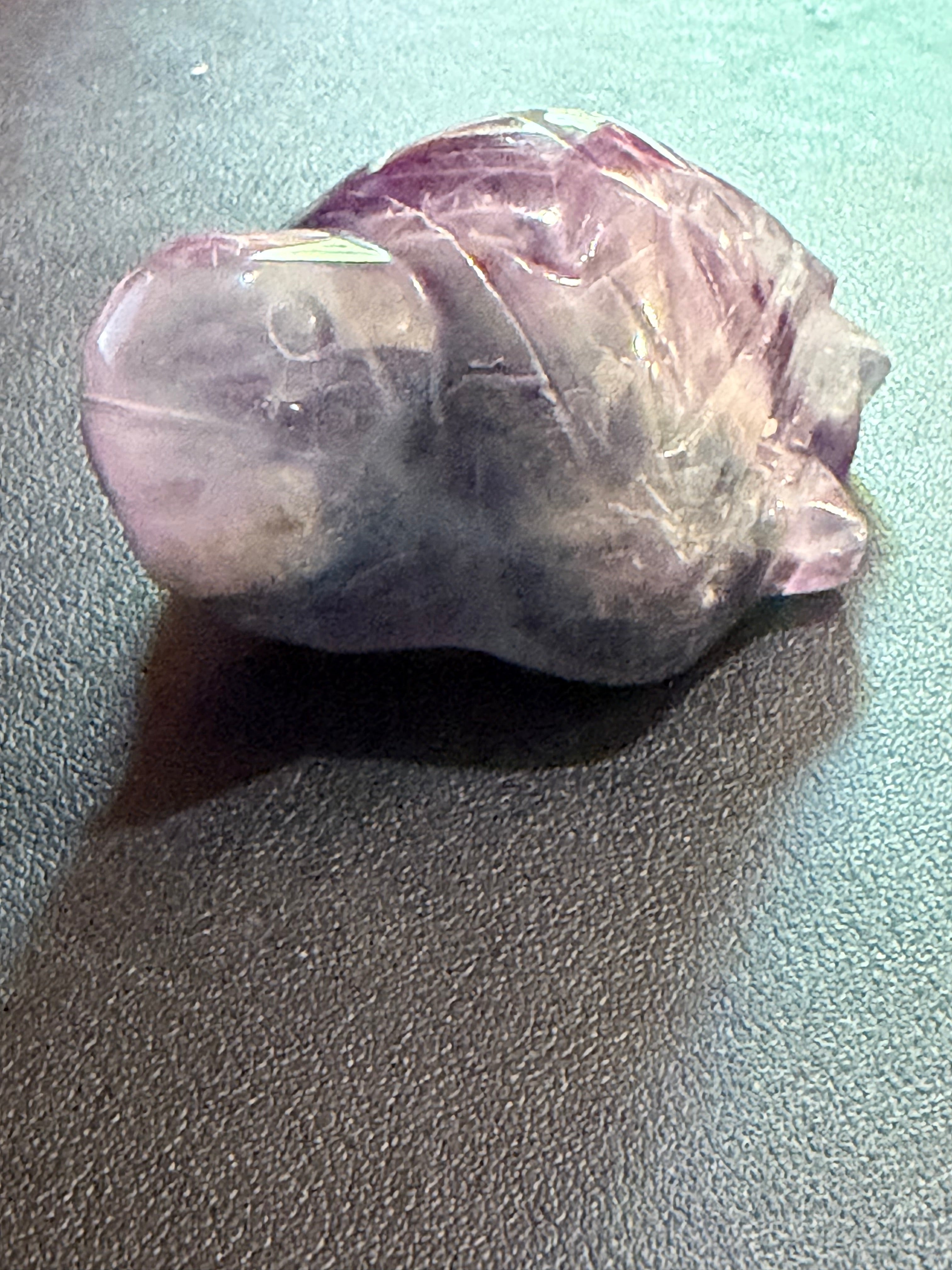 Fluorite Turtle