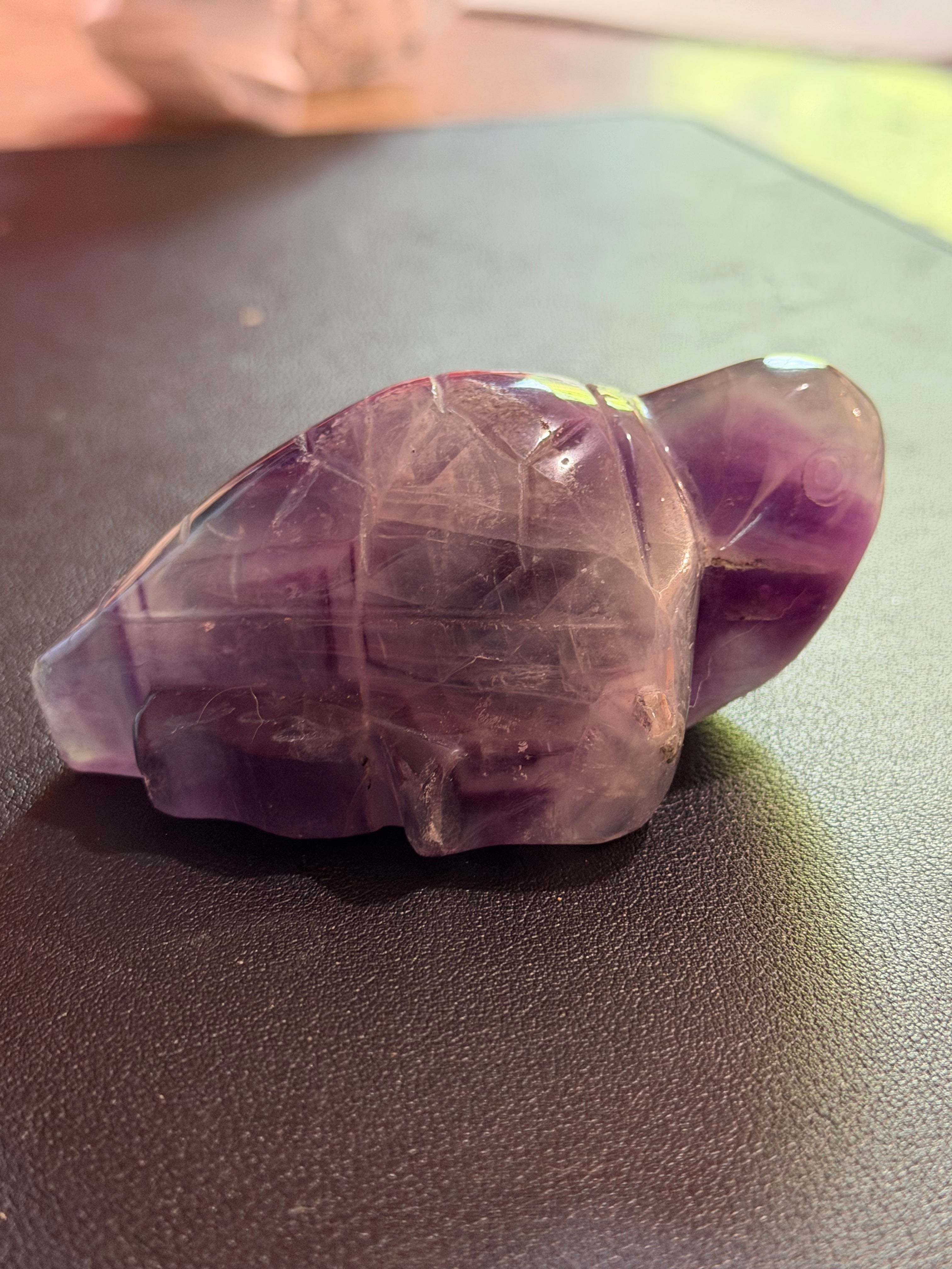 Fluorite Turtle